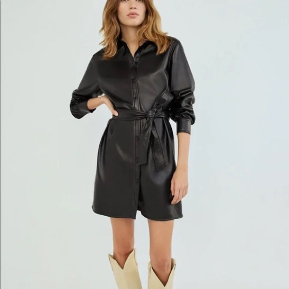 Aritzia Caroline Dress - Dark Brown